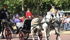 The Queens Platinum Jubilee: A Pocket Full of Horses