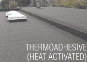 Thermoadhesive Roofing