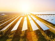 Proven Solutions for Solar Park Installations