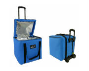 Vaccine 30L Carrying Bag
