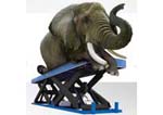 Static Scissor Lifts