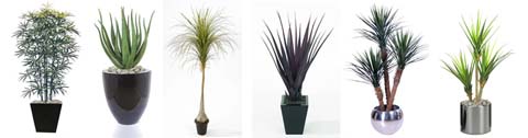 Exotic Artificial Plants