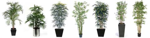 Artificial Bamboo Plants & Palms