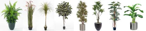 Artificial Plants