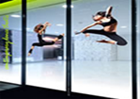 Window Graphic