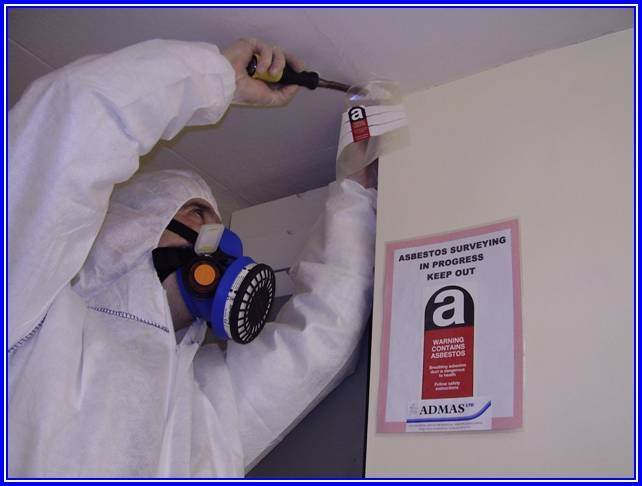 Main image for Wilsons Asbestos UK