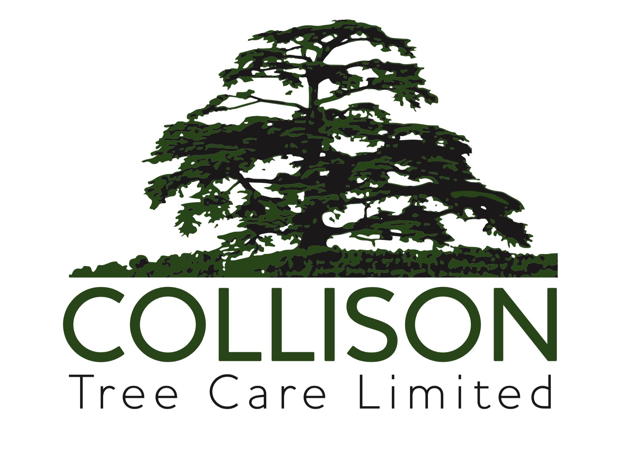 Main image for Collison Tree Care