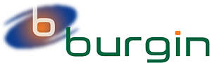 Burgin Ltd