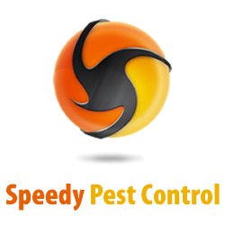 Speedy Pest Control