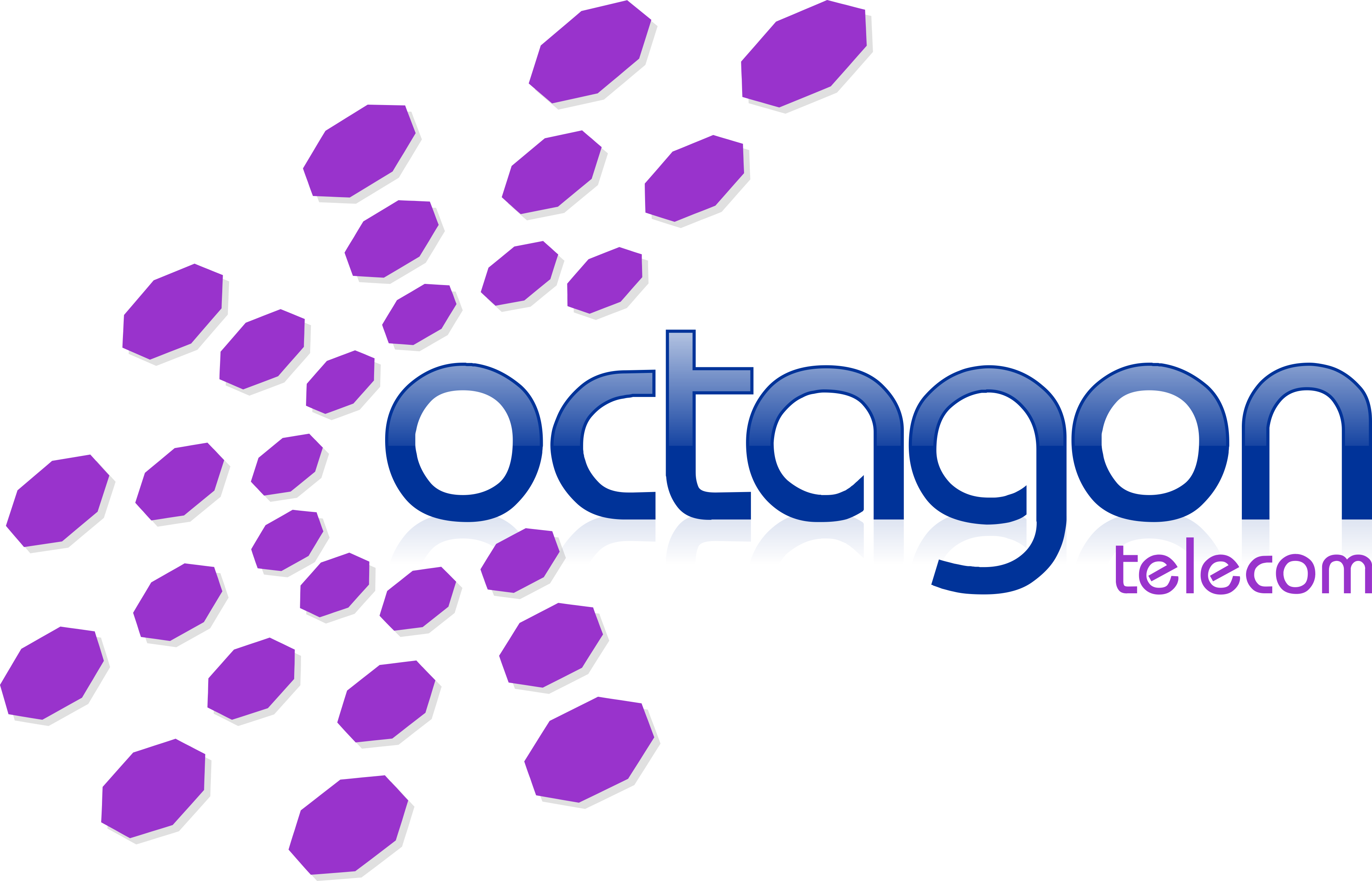 Octagon Telecom Limited 
