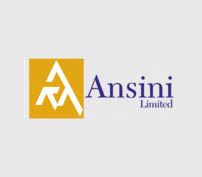 Company logo for Ansini Limited