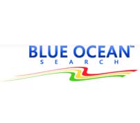 Blue Ocean Search