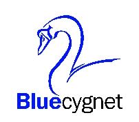 Bluecygnet Finance