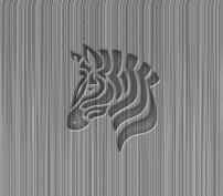 Zebra Worldwide Machinery Ltd