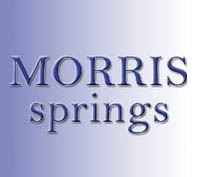 Morris Springs