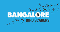 Bangalore Bird Scarers