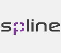 Spline Gauges