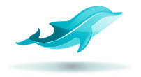 DataDolphin Website Services