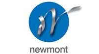 Newmont Engineering Co Ltd