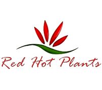 Red Hot Artificial Plants