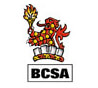 British Constructional Steelwork Association