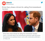 Prince Harry First Amendment "Bonkers" Gaffe