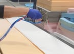 Fire-retardant, water-based adhesive for foam and furniture applications
