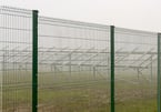Securing Potash Farm - Perimeter Fencing for a 5MW Solar Farm