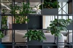 Fake or Real? The Best Artificial Plants for Office Spaces