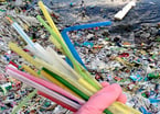The Last Straw for Plastics 