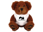 Promotional Teddy Bear