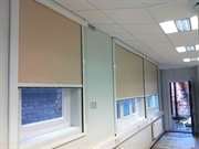 Office Blinds