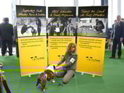 Roller Banners