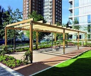 Sheldon Timber Pergola - SPG329