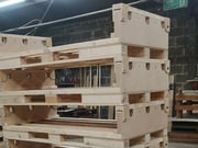 Large Pallets