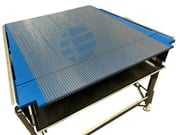 Ladder-Flex Conveyor