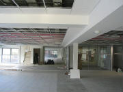 Suspended Ceilings