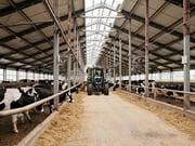 Steel Agricultural Buildings