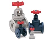Globe Valves
