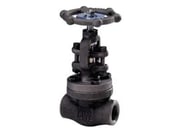 Petrochemical Valves