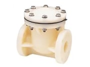 Swing Check Valve
