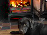 Chimney Repairs