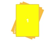 Fluorescent Paper Labels