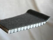 Thermoplastic Sandwich Panels