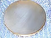 Fabricated Metals & Products