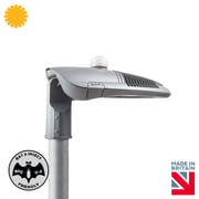 LED Street Lighting - Bat and Insect Friendly 