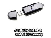 Logo USB Flash Drives