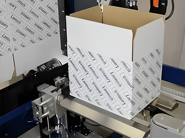 Case Erector Machines