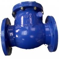 Soft Seated BS5153 Swing Check Valves