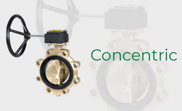 Main image for Frenstar Valves